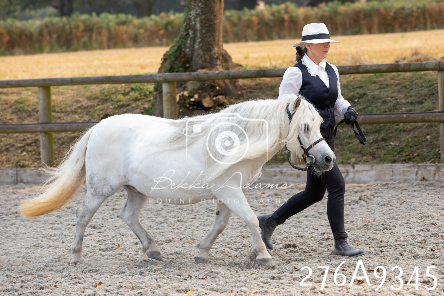 Home Farm Annual Show 2025 - Inhand Pt 1
