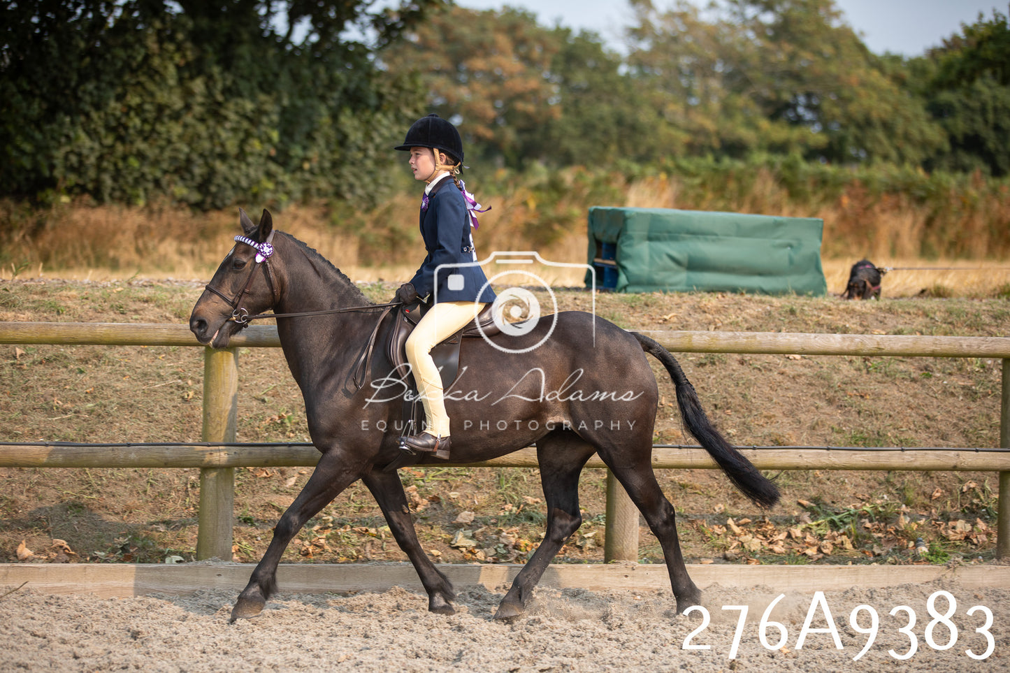 Home Farm Annual Show 2025 - Ridden Pt 1