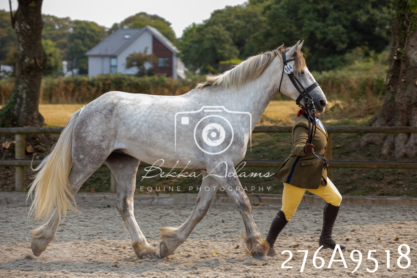 Home Farm Annual Show 2025 - Inhand Pt 2