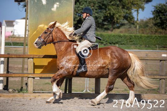 Home Farm Annual Show 2025 - Ridden Pt 3