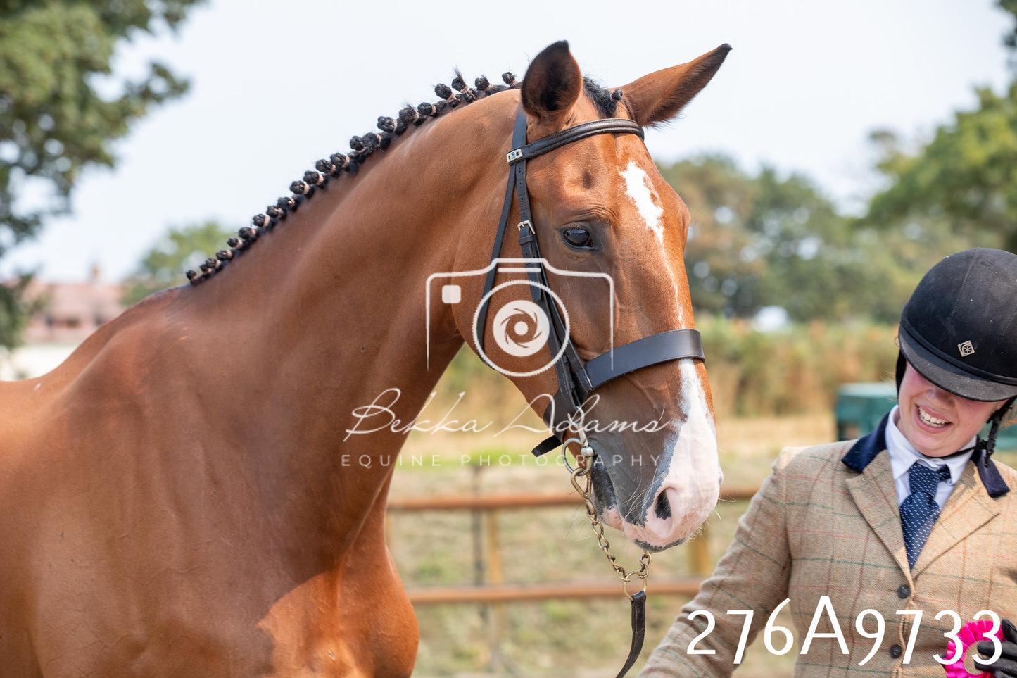 Home Farm Annual Show 2025 - Inhand Pt 2