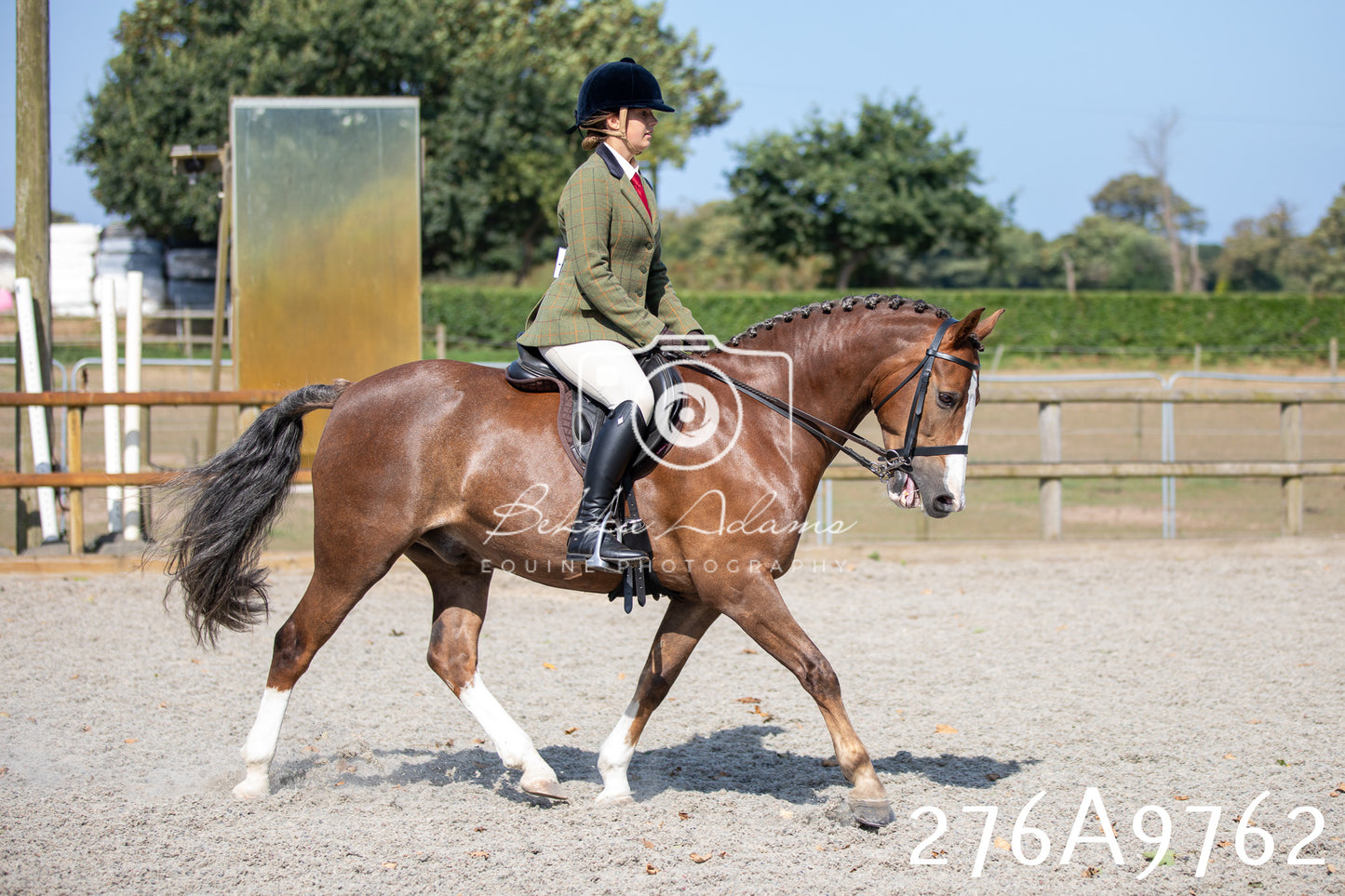 Home Farm Annual Show 2025 - Ridden Pt 2