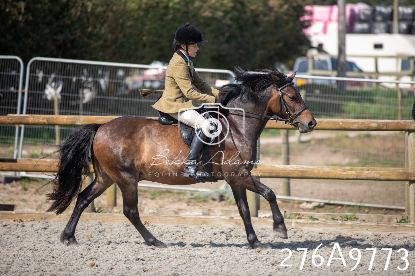 Home Farm Annual Show 2025 - Ridden Pt 2