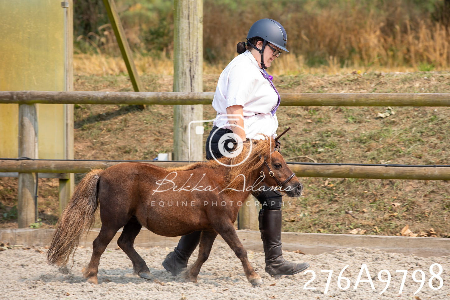Home Farm Annual Show 2025 - Inhand Pt 2