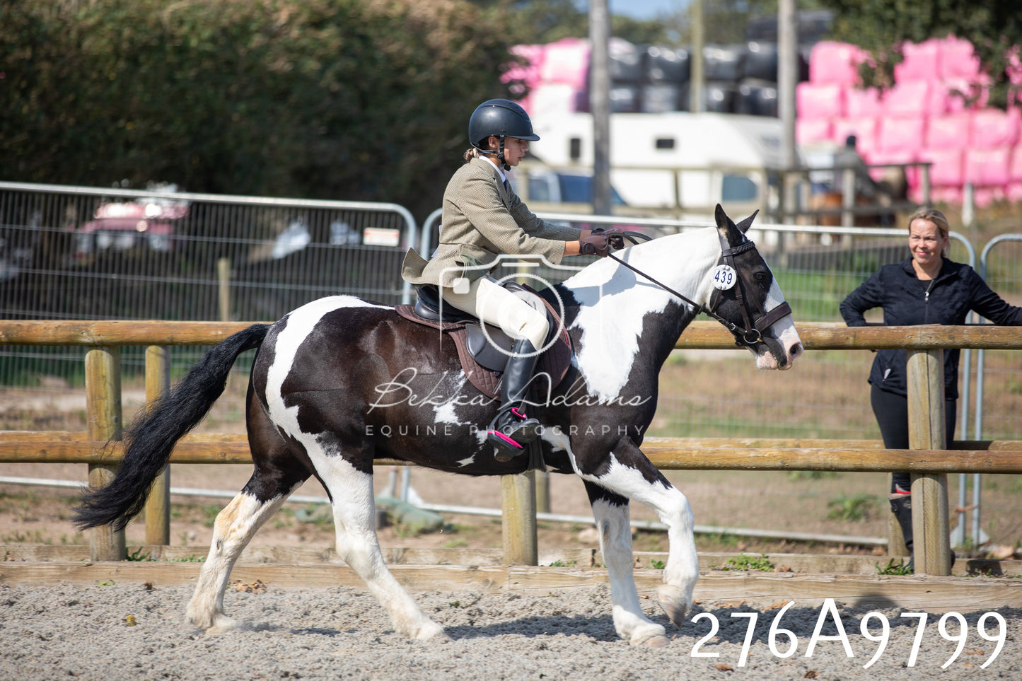 Home Farm Annual Show 2025 - Ridden Pt 2