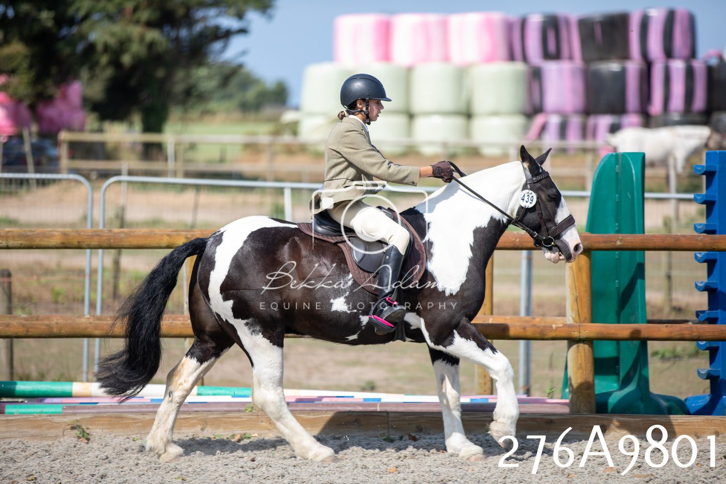 Home Farm Annual Show 2025 - Ridden Pt 2
