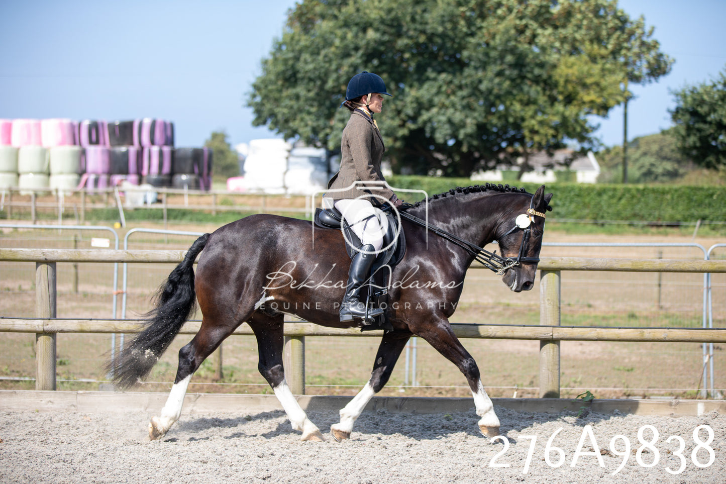 Home Farm Annual Show 2025 - Ridden Pt 2