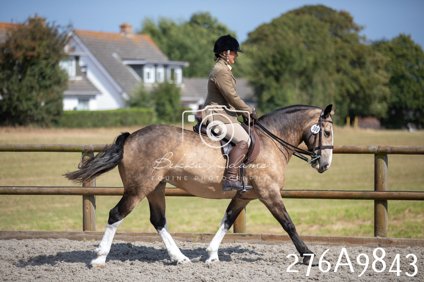 Home Farm Annual Show 2025 - Ridden Pt 2