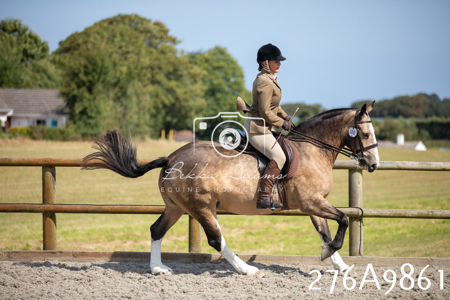 Home Farm Annual Show 2025 - Ridden Pt 2