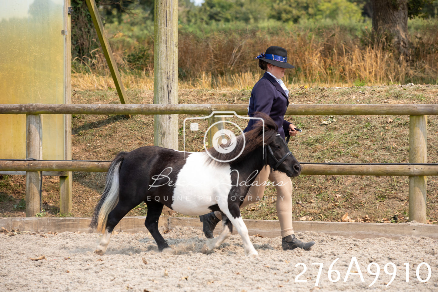 Home Farm Annual Show 2025 - Inhand Pt 2