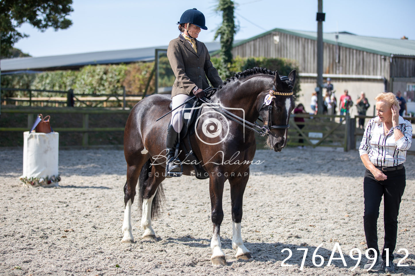Home Farm Annual Show 2025 - Ridden Pt 2