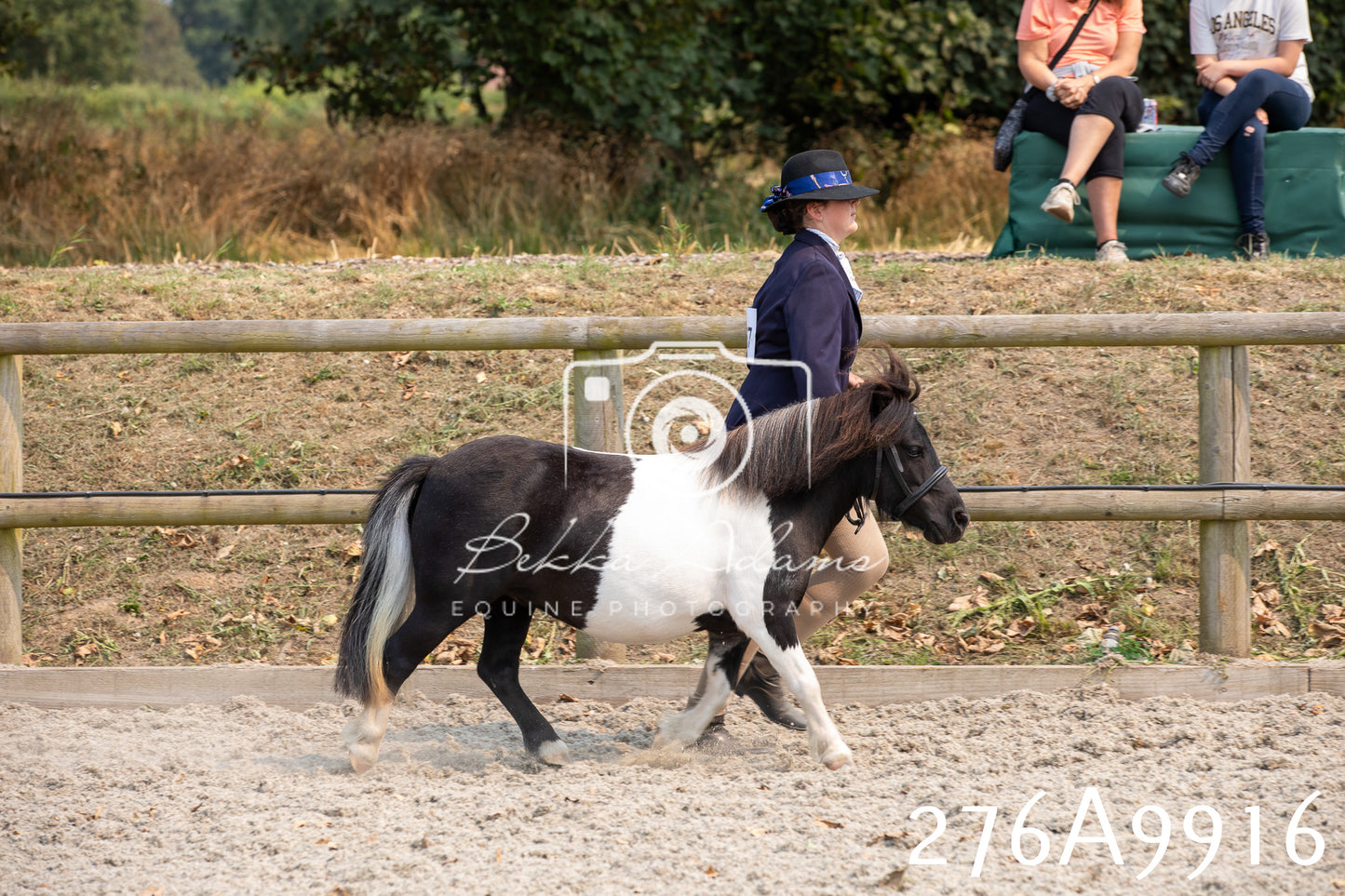 Home Farm Annual Show 2025 - Inhand Pt 2