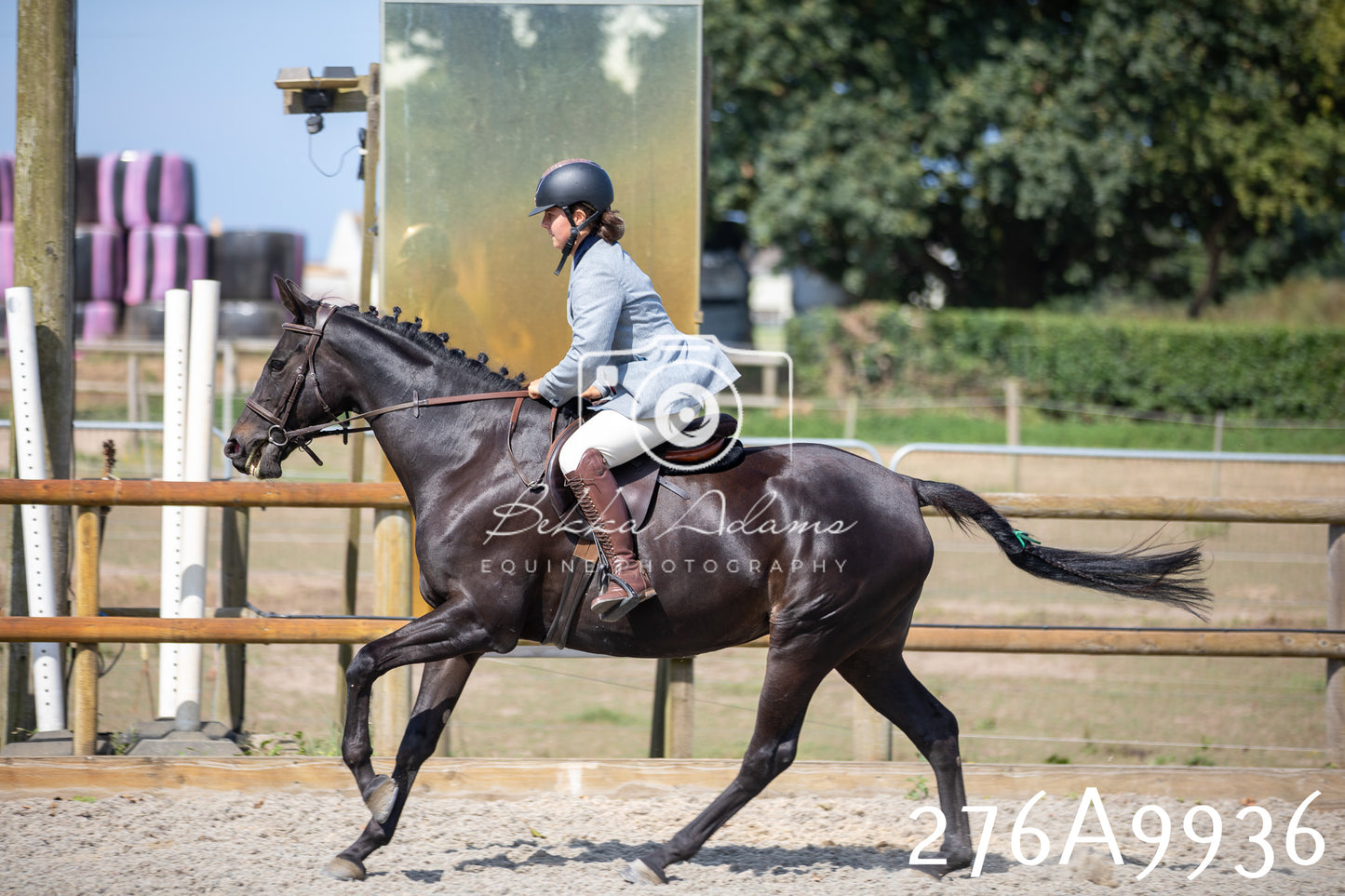 Home Farm Annual Show 2025 - Ridden Pt 2
