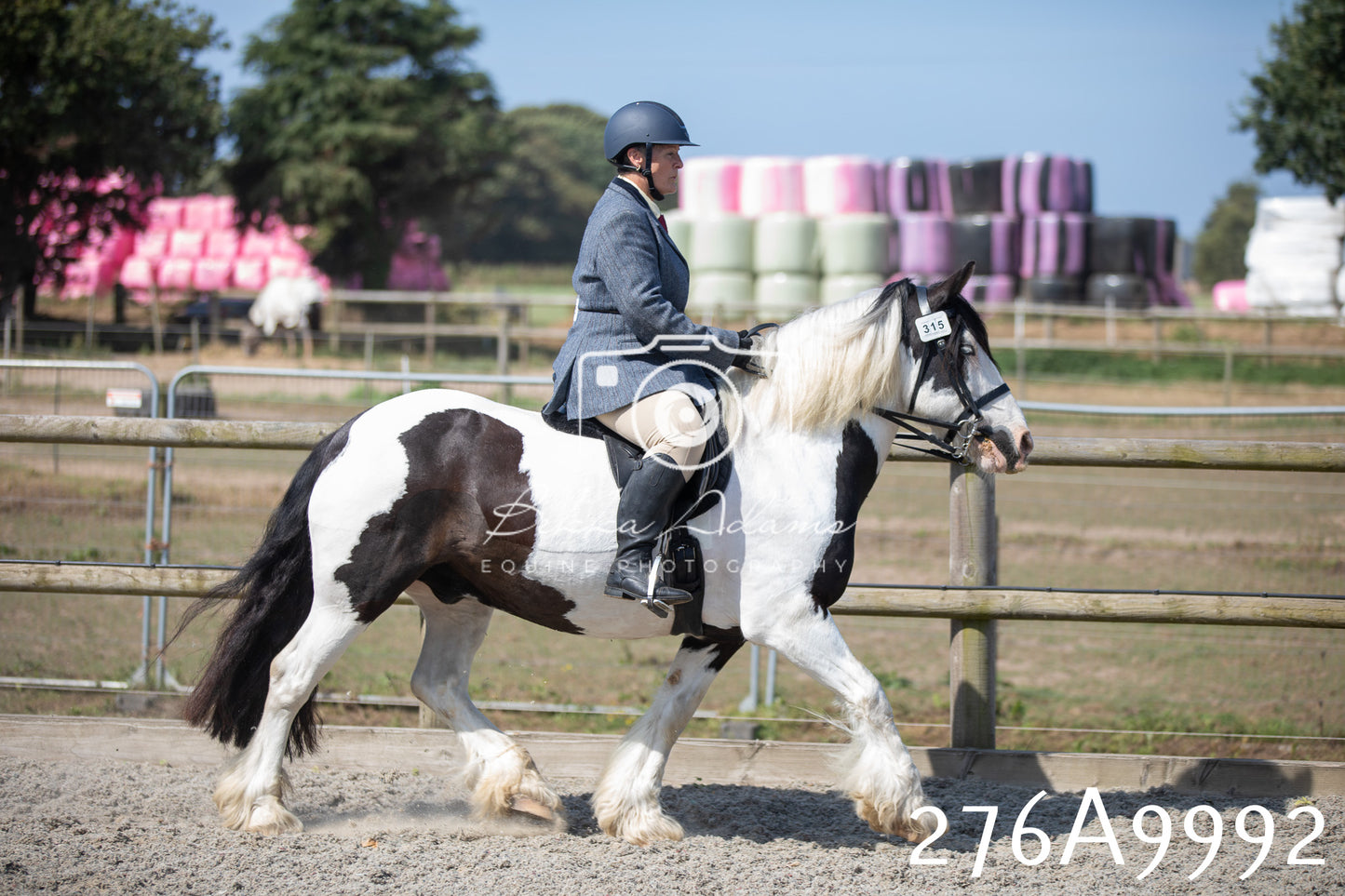 Home Farm Annual Show 2025 - Ridden Pt 2