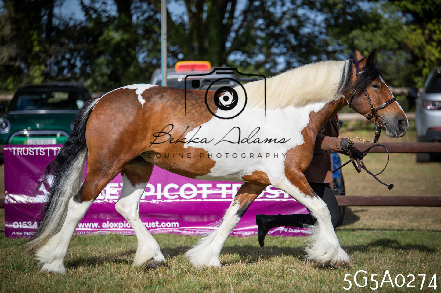 St Lawrence Charity Horse Show - Saturday pt1
