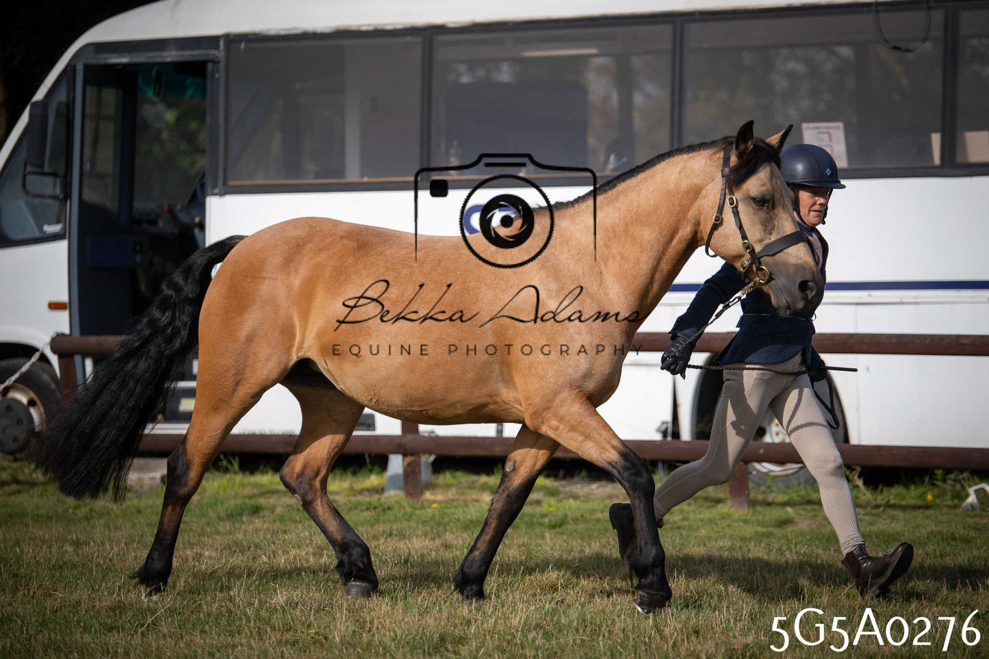 St Lawrence Charity Horse Show - Saturday pt1