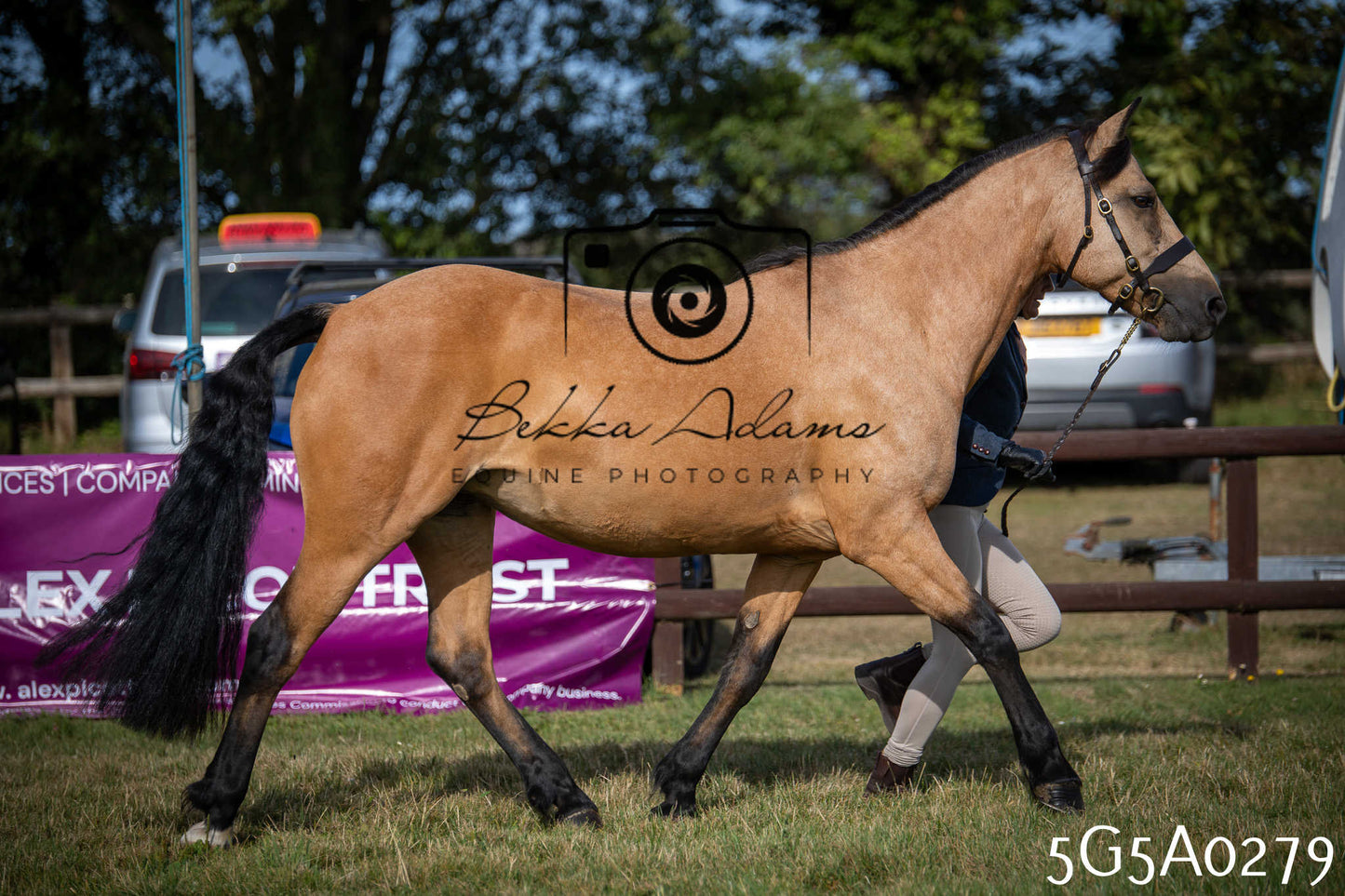 St Lawrence Charity Horse Show - Saturday pt1