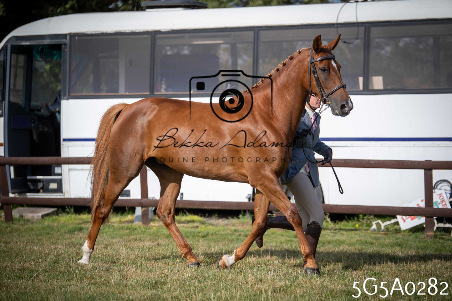St Lawrence Charity Horse Show - Saturday pt1