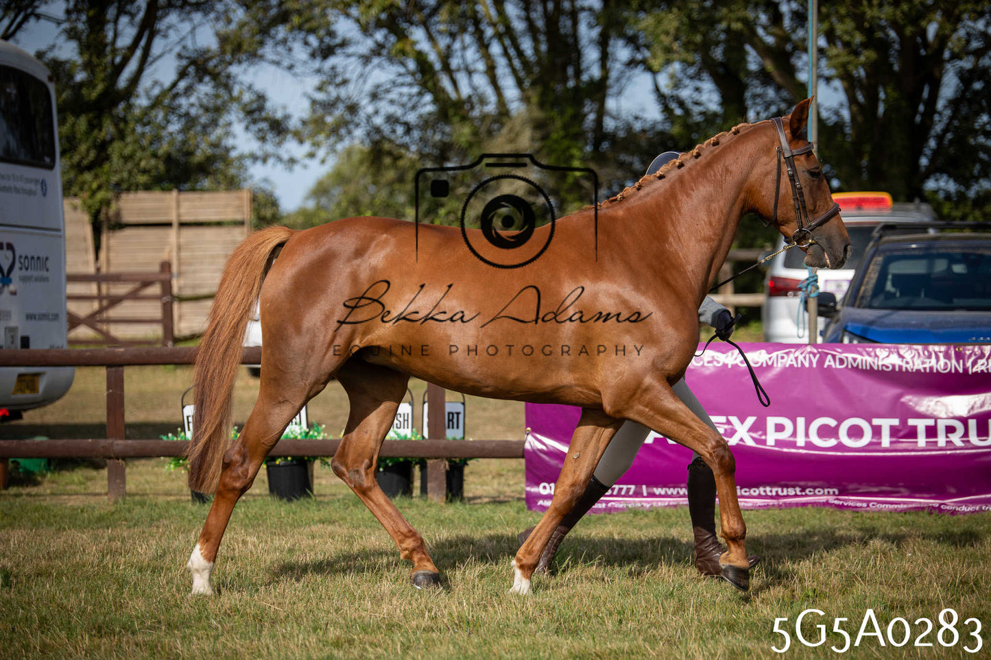 St Lawrence Charity Horse Show - Saturday pt1