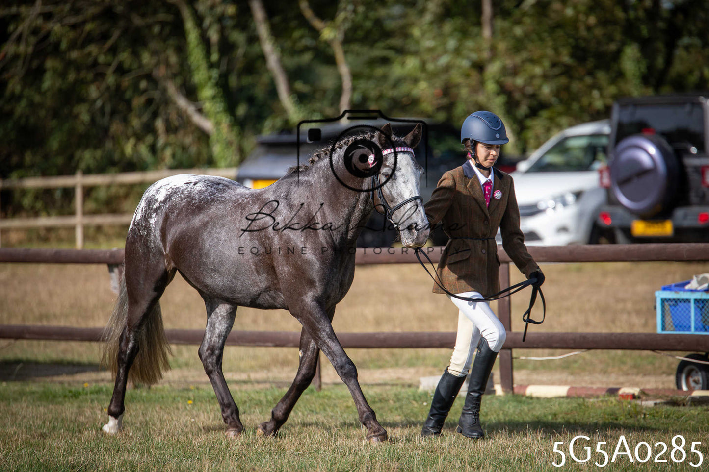 St Lawrence Charity Horse Show - Saturday pt1