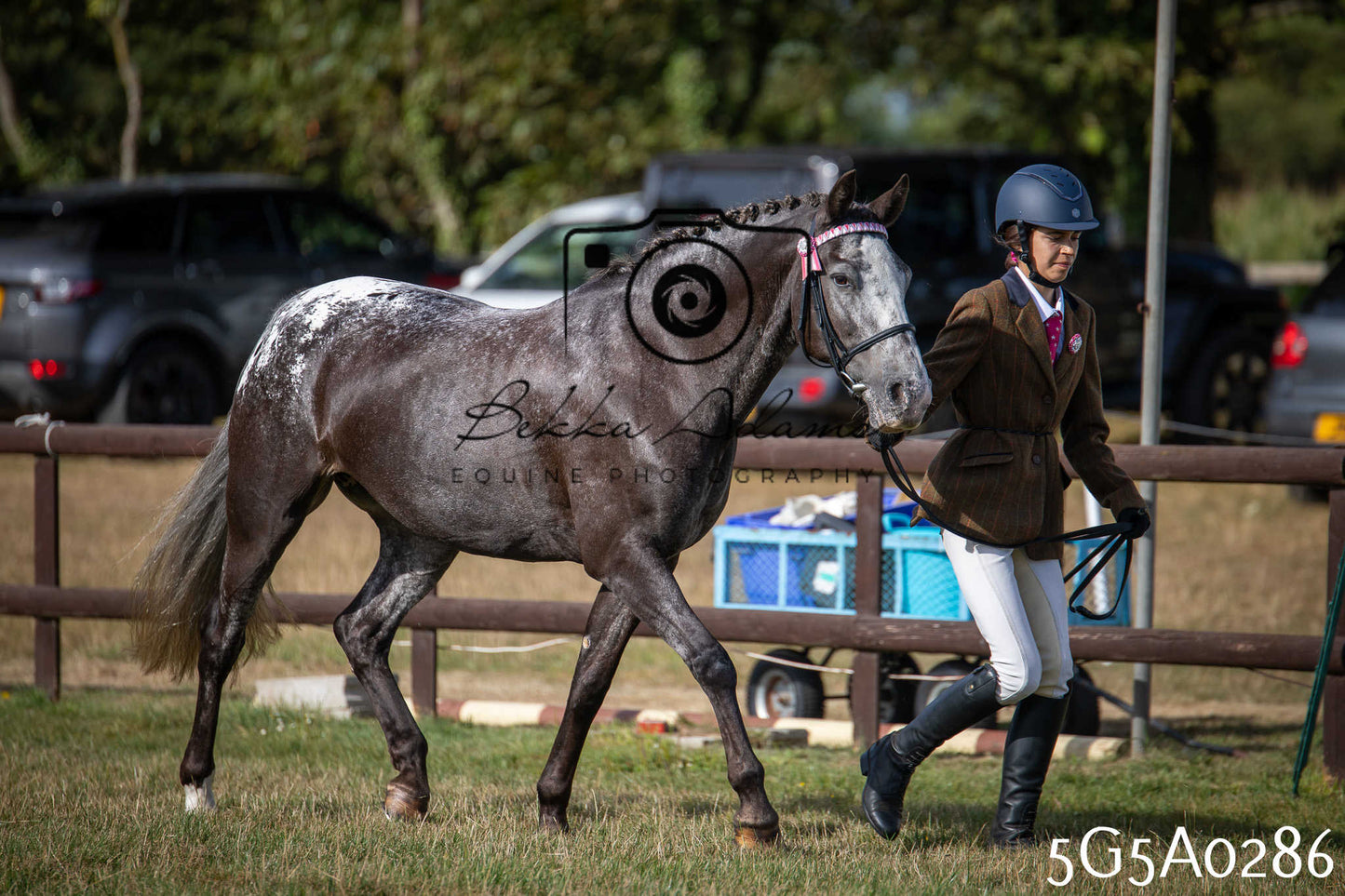 St Lawrence Charity Horse Show - Saturday pt1