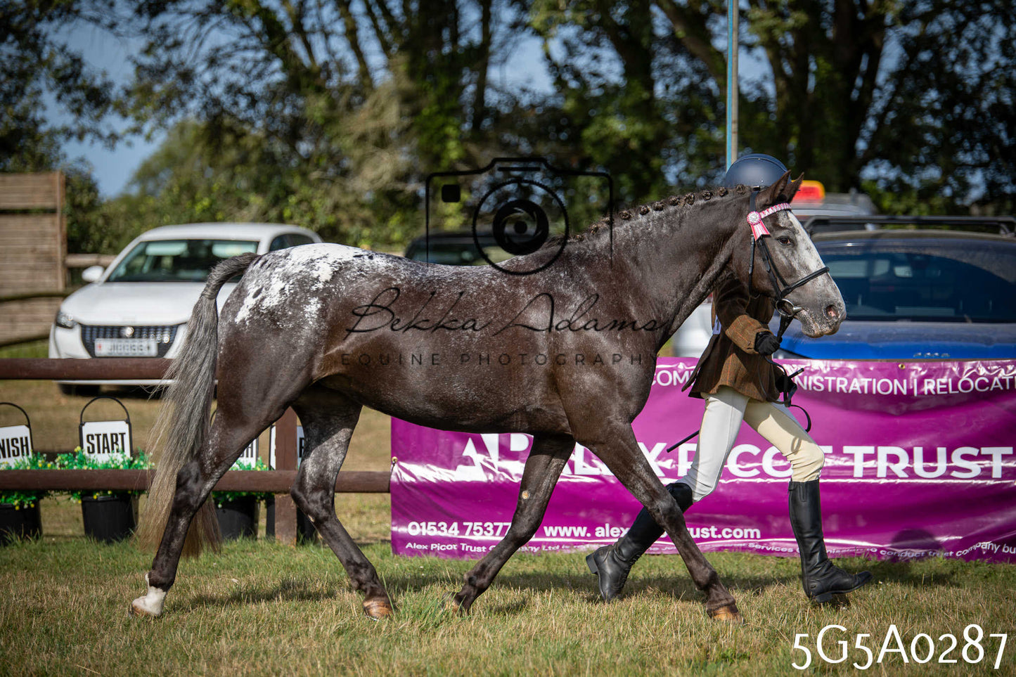 St Lawrence Charity Horse Show - Saturday pt1