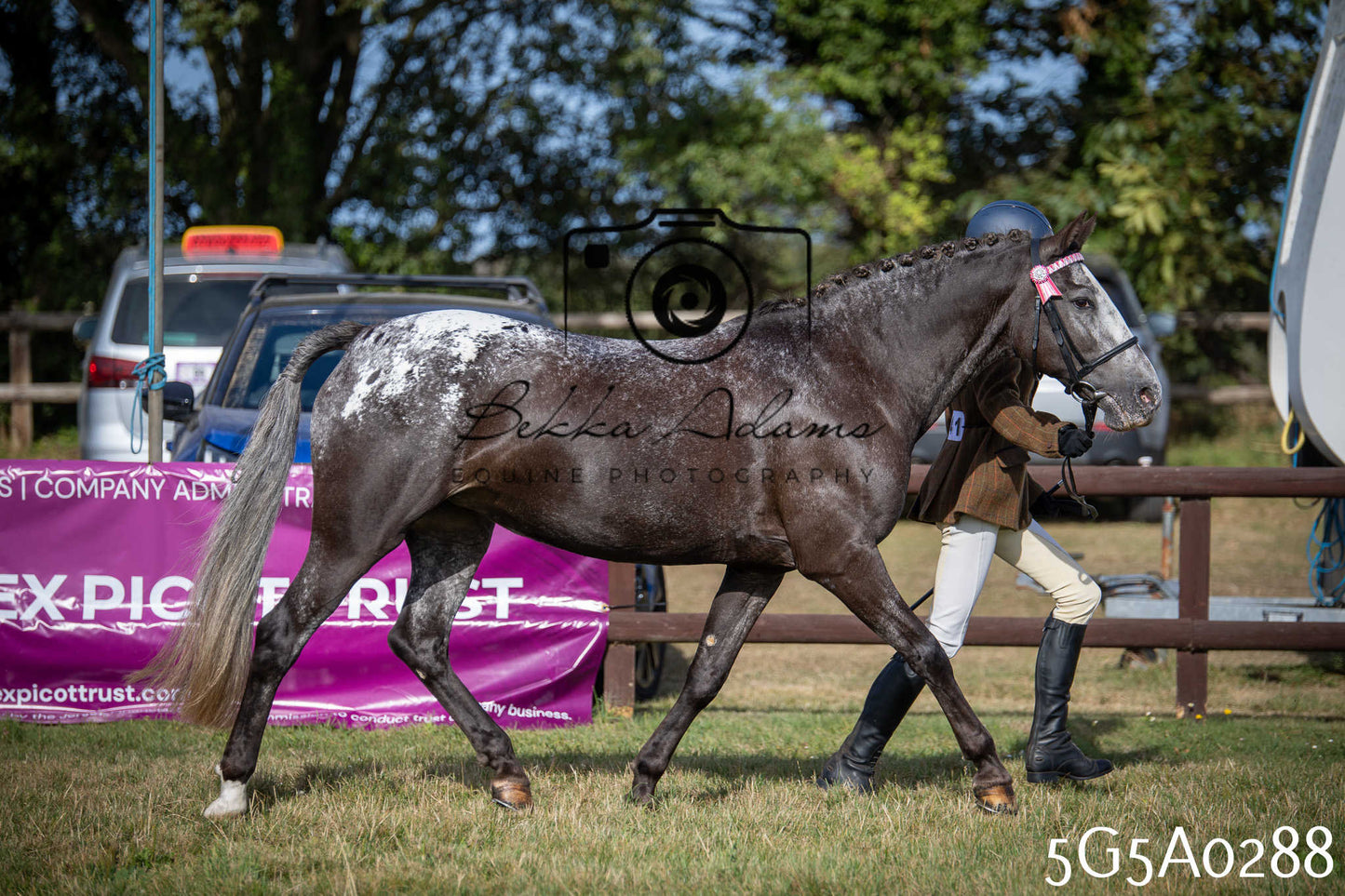 St Lawrence Charity Horse Show - Saturday pt1