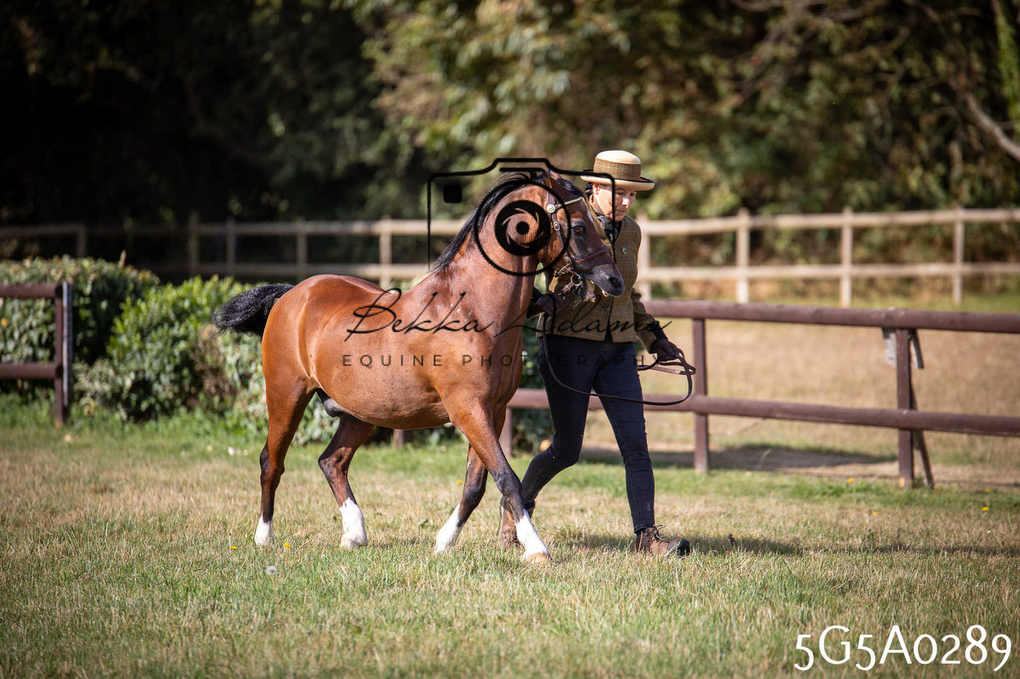 St Lawrence Charity Horse Show - Saturday pt1