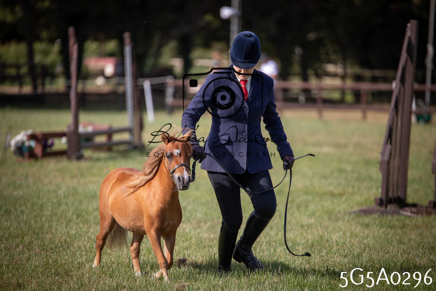St Lawrence Charity Horse Show - Saturday pt1