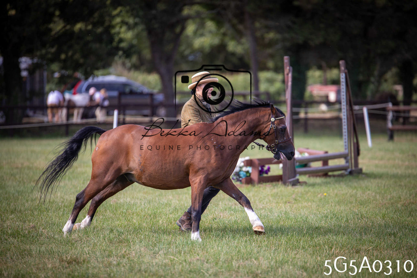 St Lawrence Charity Horse Show - Saturday pt1