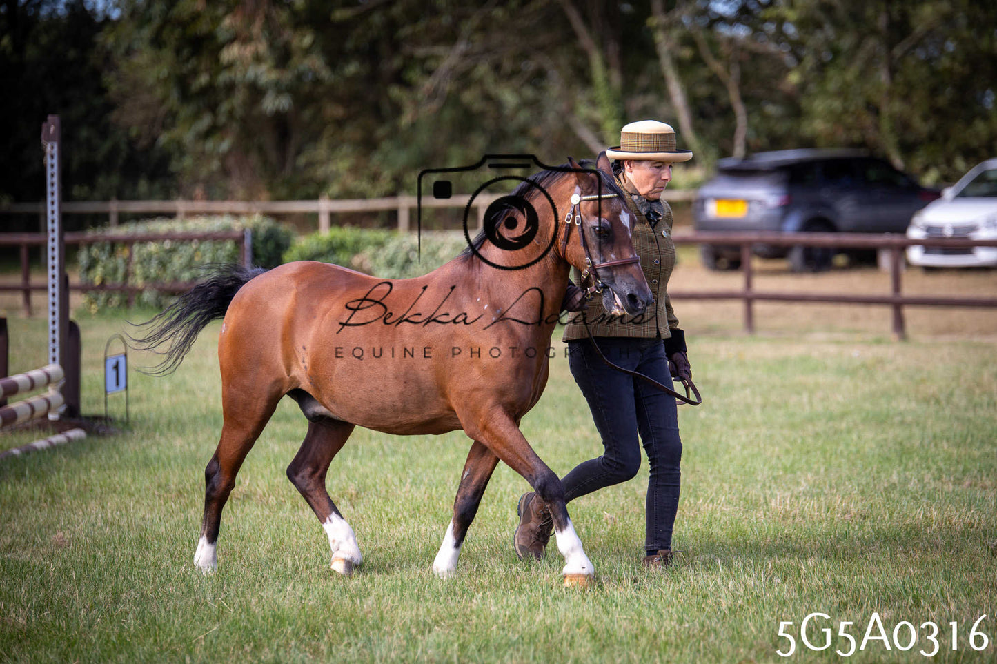 St Lawrence Charity Horse Show - Saturday pt1