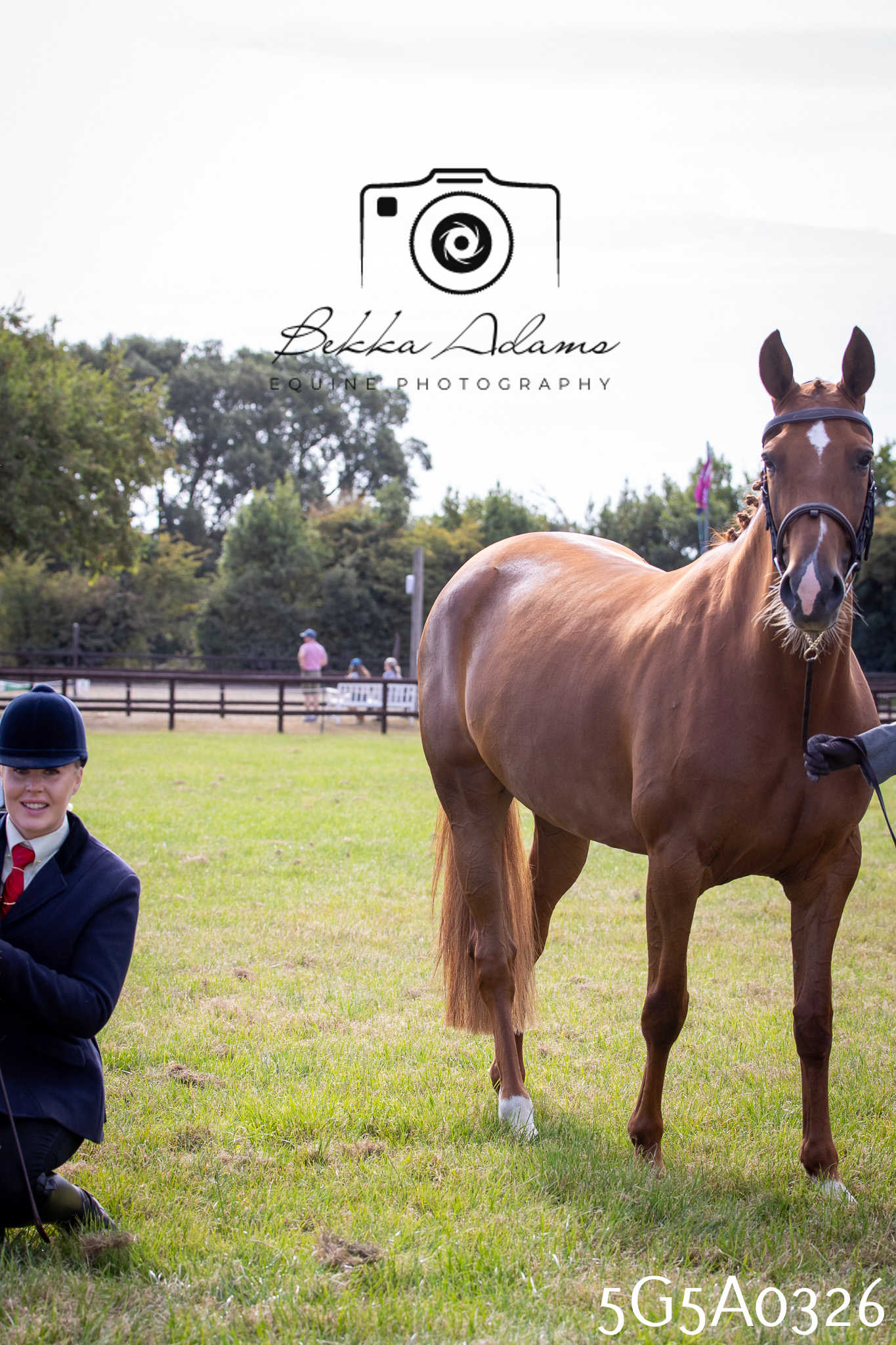 St Lawrence Charity Horse Show - Saturday pt1