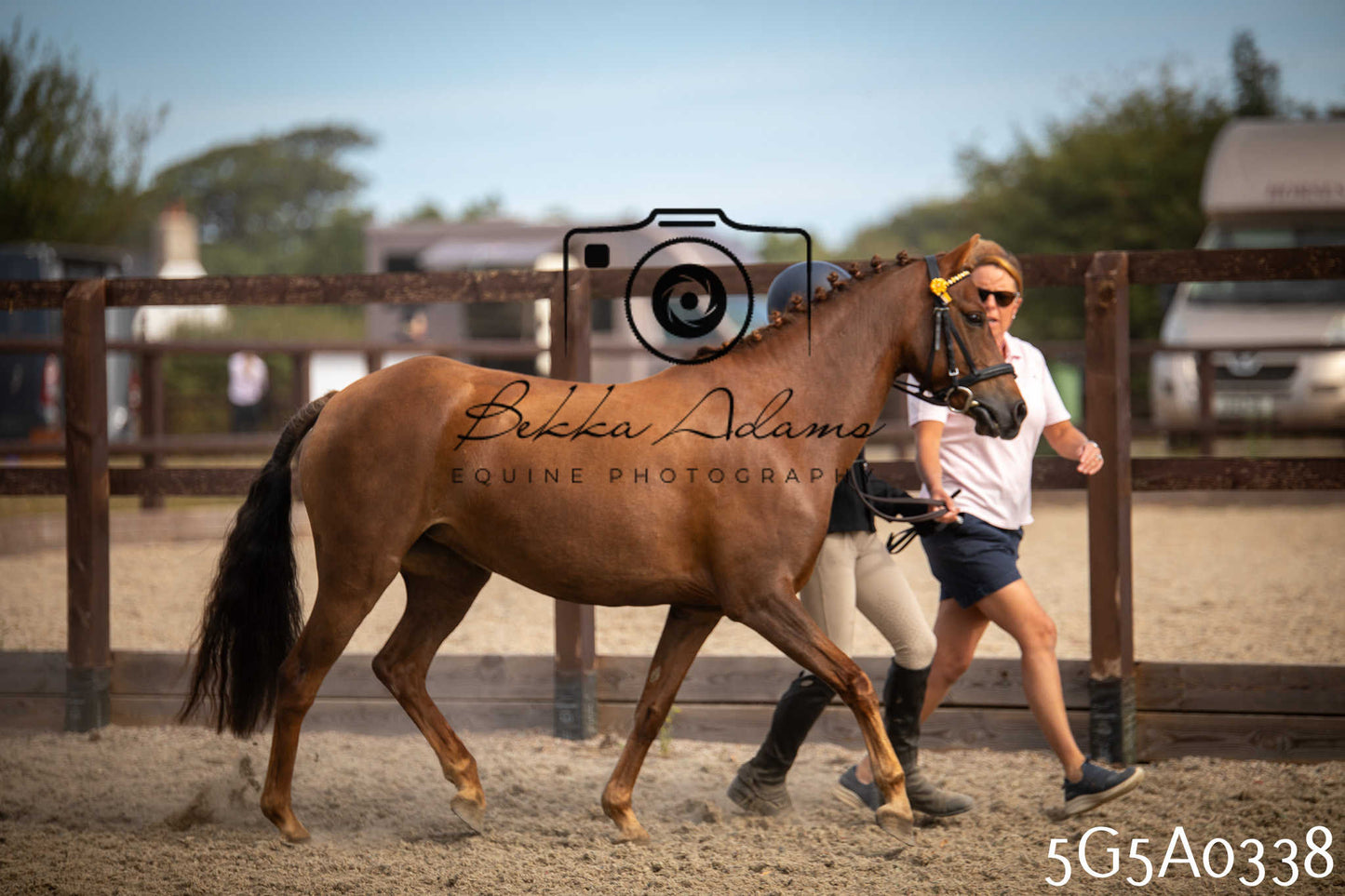St Lawrence Charity Horse Show - Saturday pt1