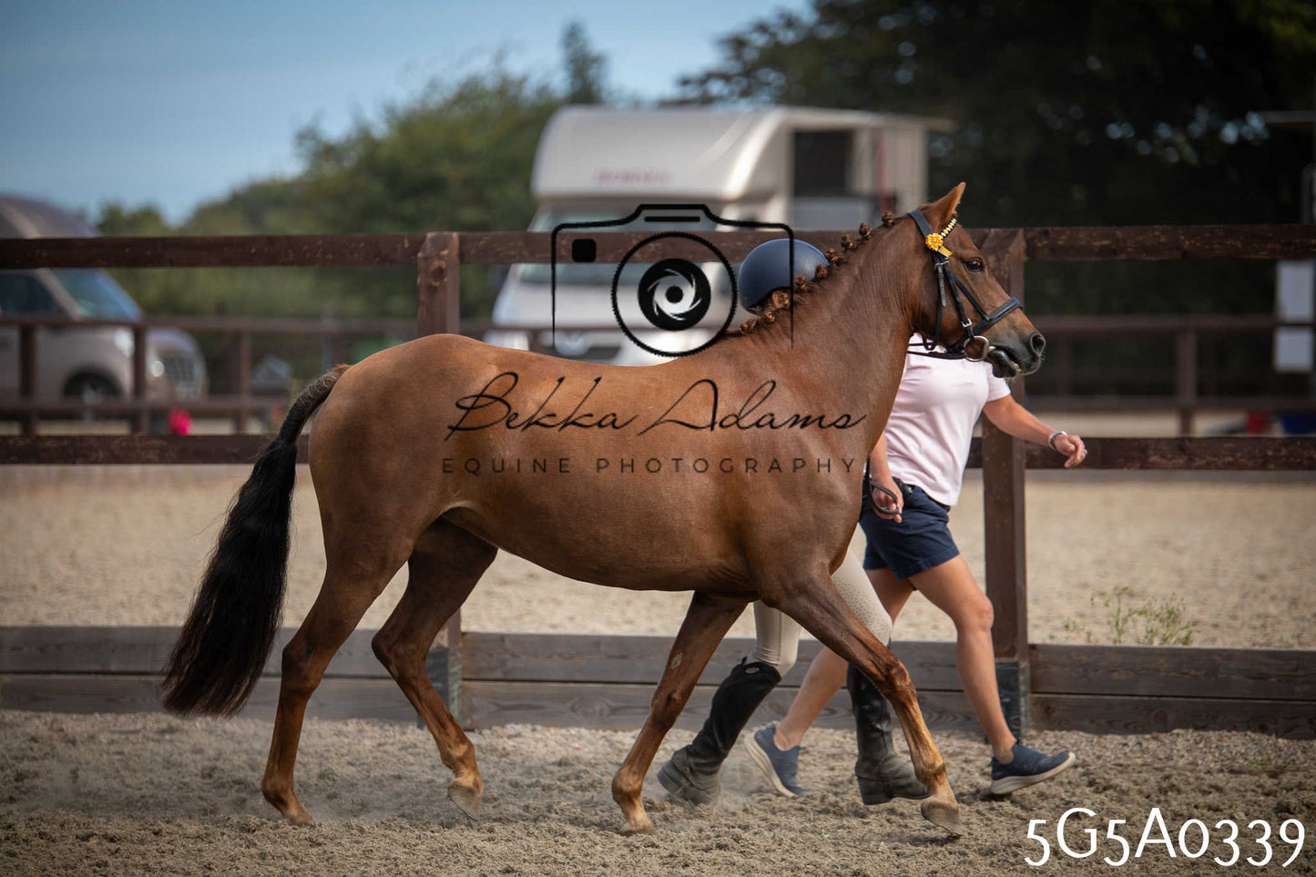 St Lawrence Charity Horse Show - Saturday pt1