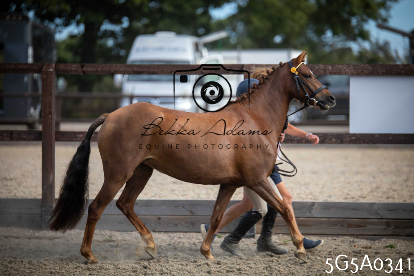 St Lawrence Charity Horse Show - Saturday pt1