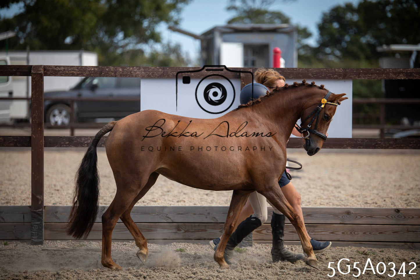St Lawrence Charity Horse Show - Saturday pt1