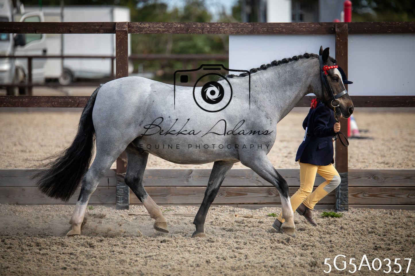 St Lawrence Charity Horse Show - Saturday pt1