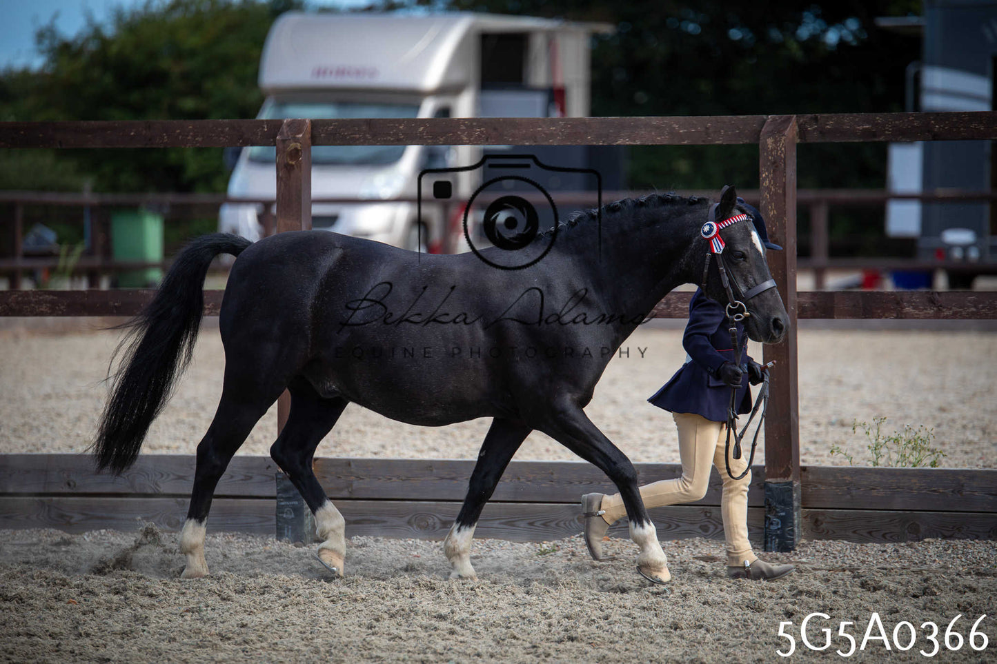 St Lawrence Charity Horse Show - Saturday pt1