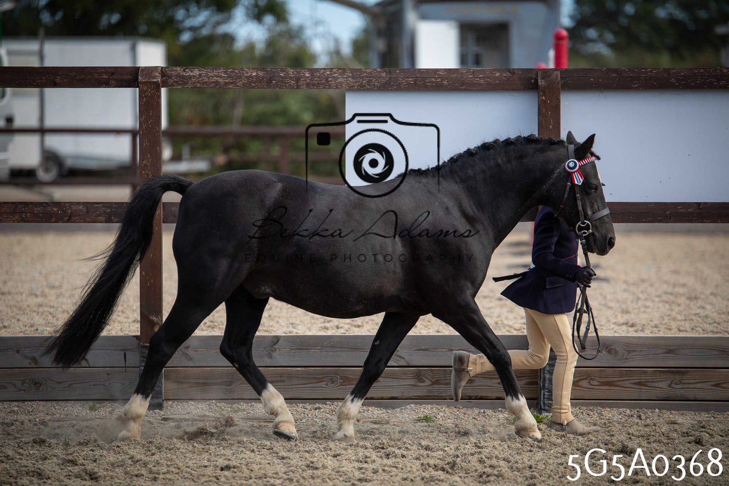 St Lawrence Charity Horse Show - Saturday pt1