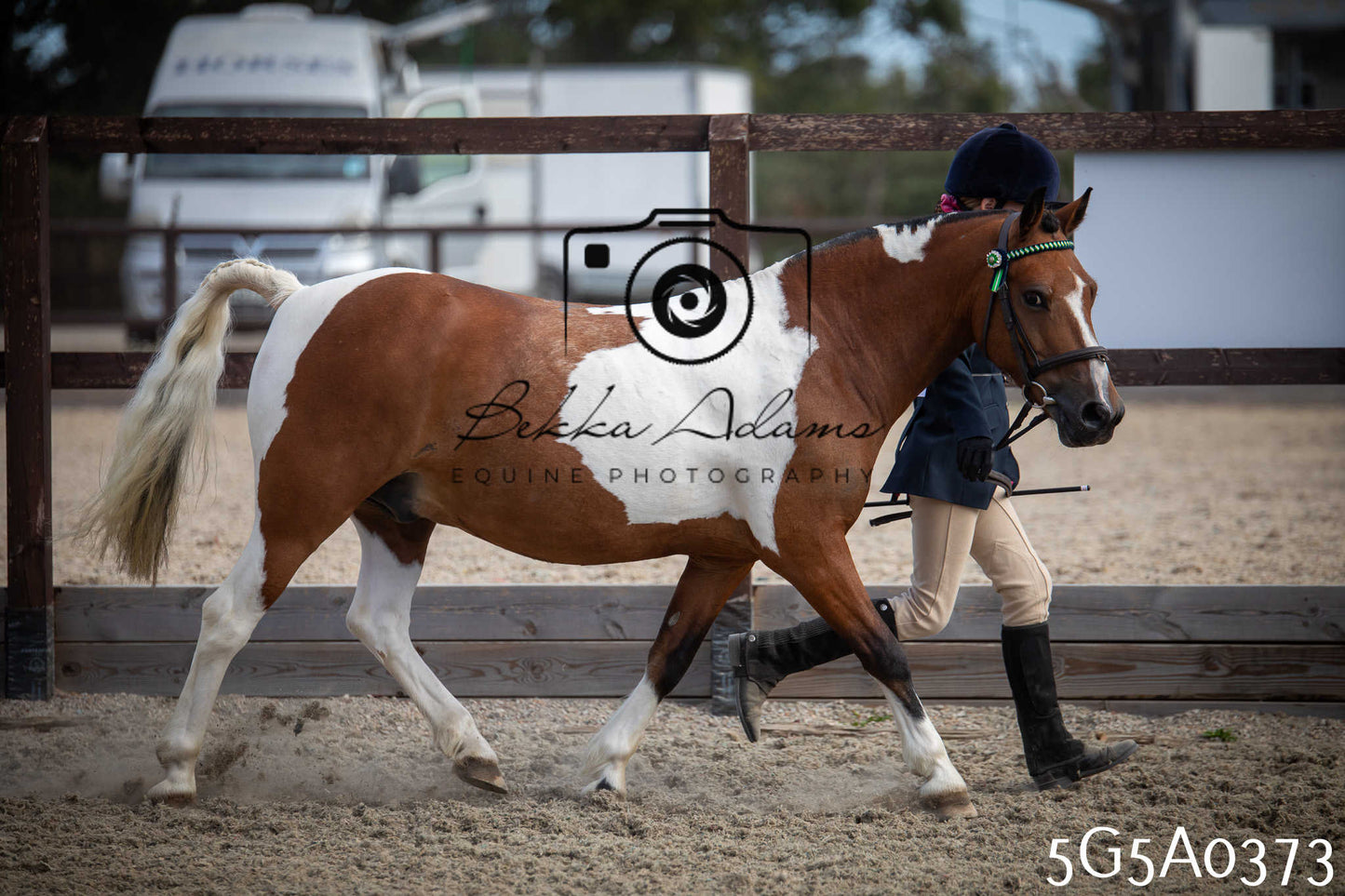St Lawrence Charity Horse Show - Saturday pt1