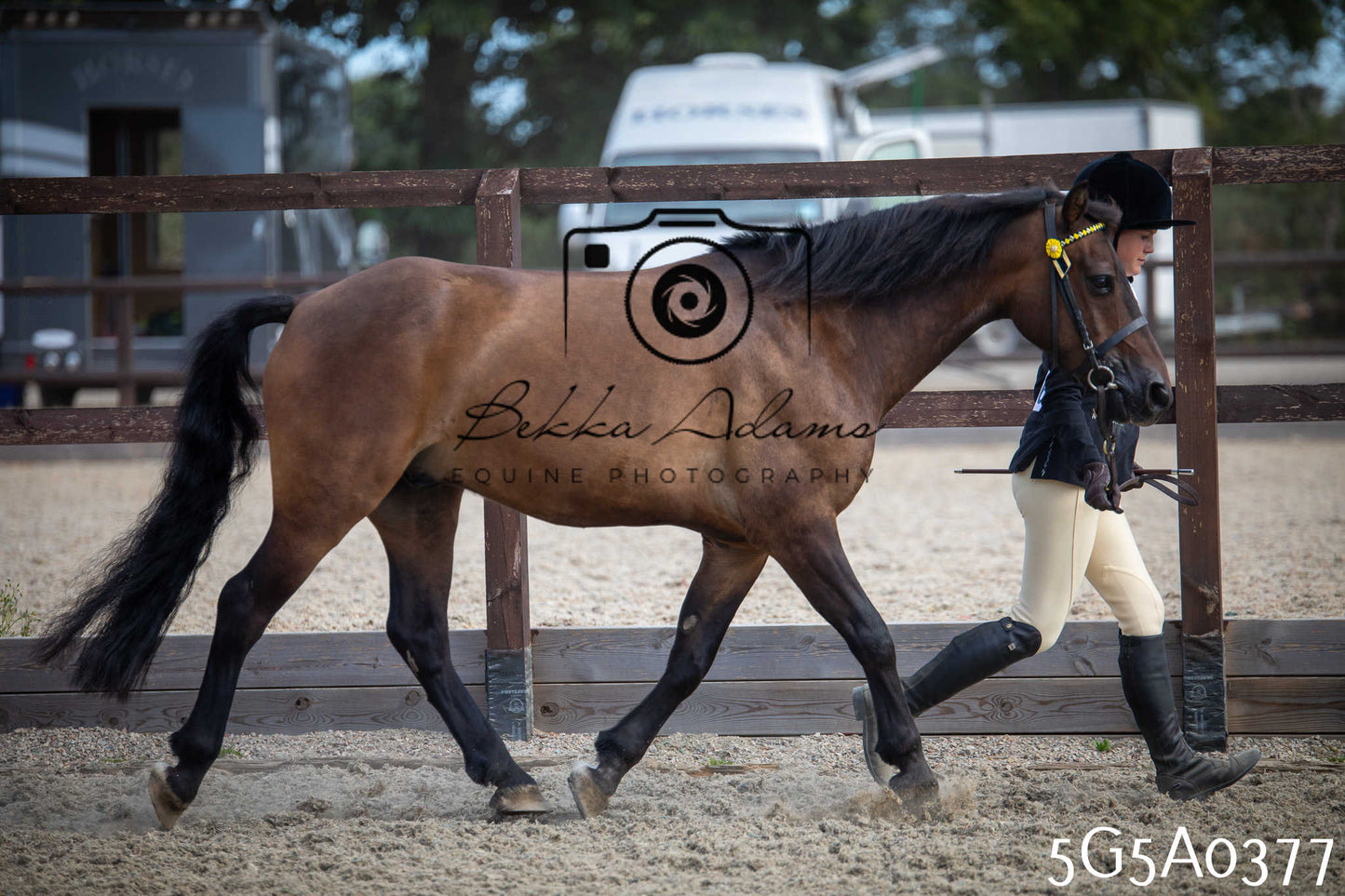 St Lawrence Charity Horse Show - Saturday pt1