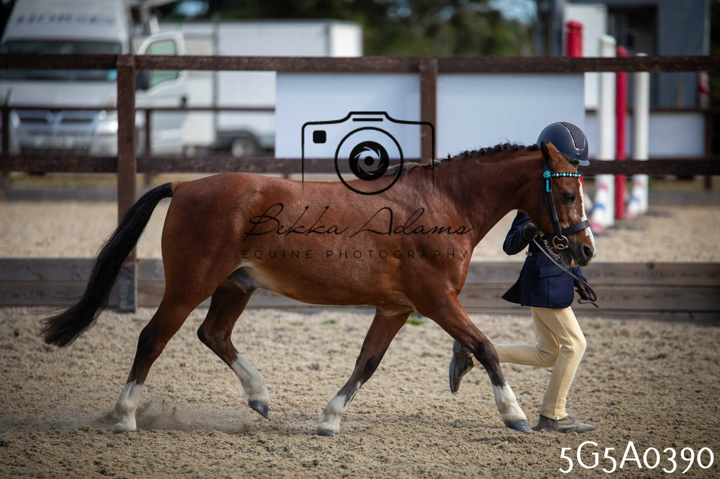 St Lawrence Charity Horse Show - Saturday pt1