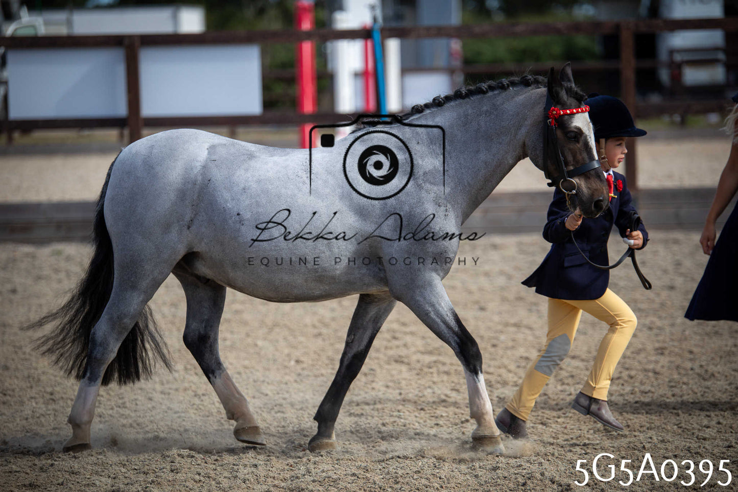 St Lawrence Charity Horse Show - Saturday pt1
