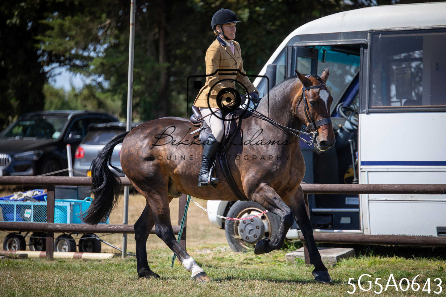 St Lawrence Charity Horse Show - Saturday pt1