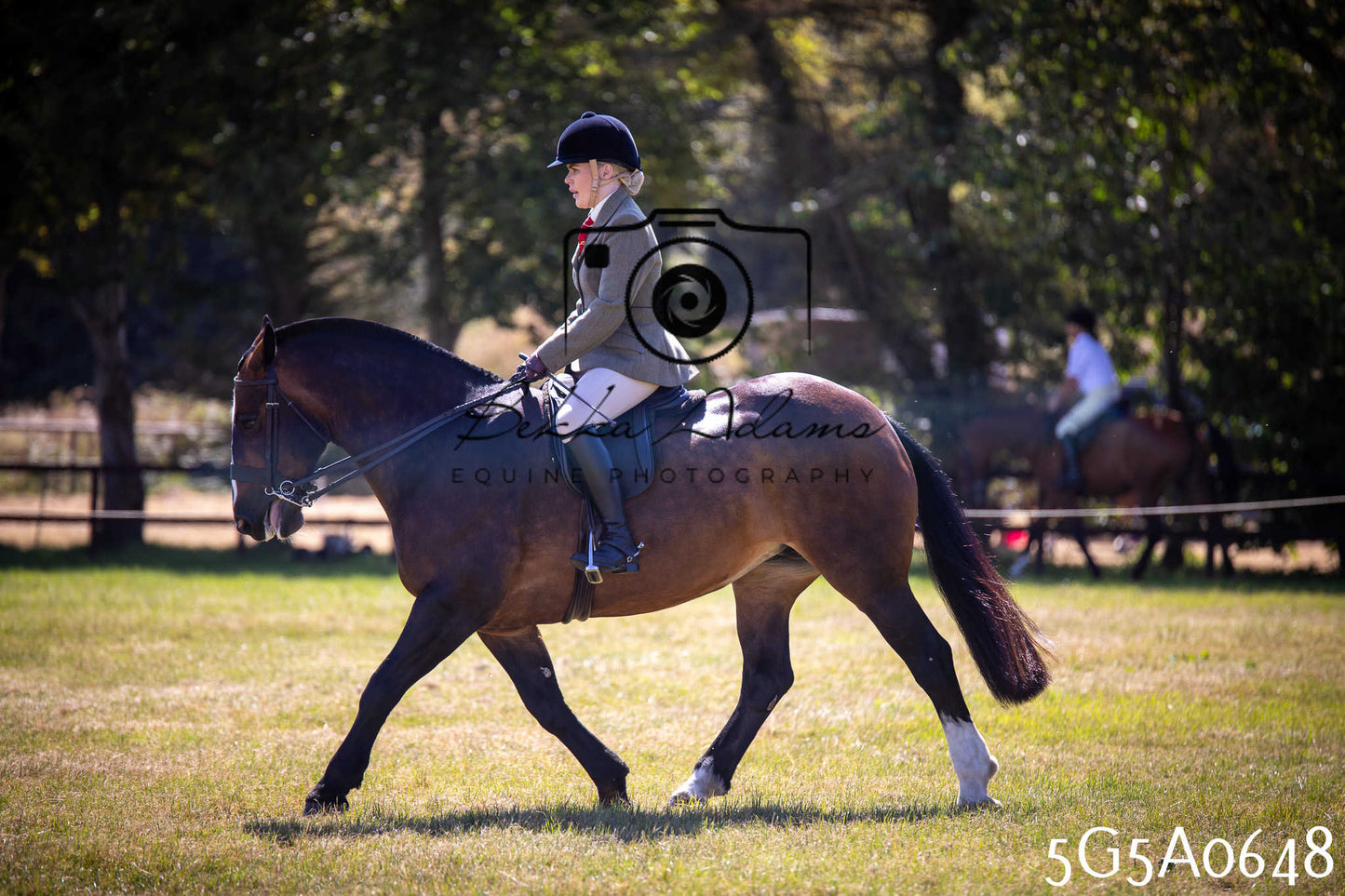 St Lawrence Charity Horse Show - Saturday pt1