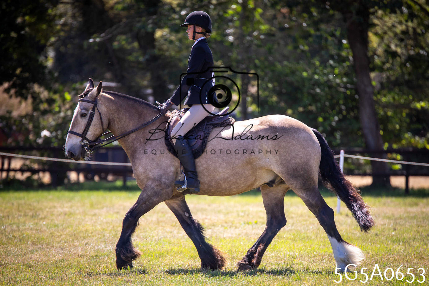 St Lawrence Charity Horse Show - Saturday pt1