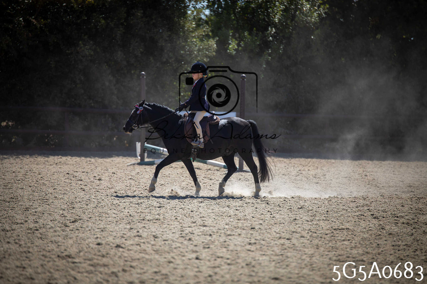 St Lawrence Charity Horse Show - Saturday pt1