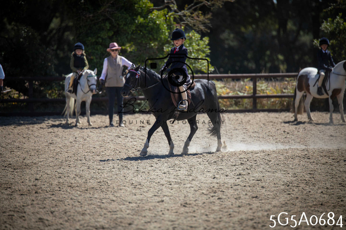 St Lawrence Charity Horse Show - Saturday pt1
