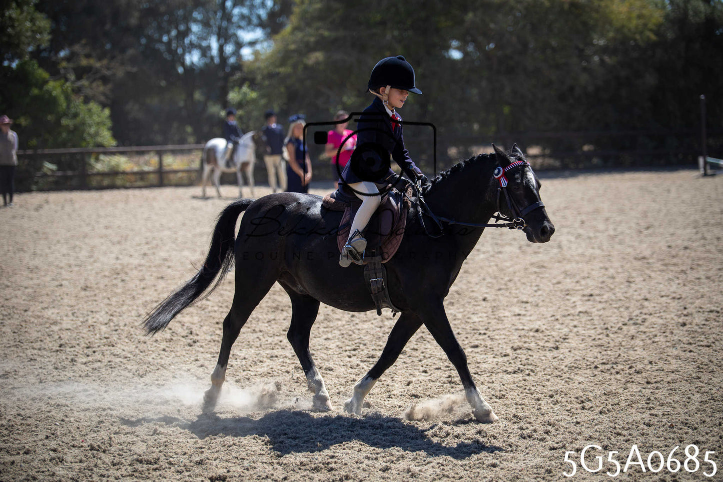 St Lawrence Charity Horse Show - Saturday pt1