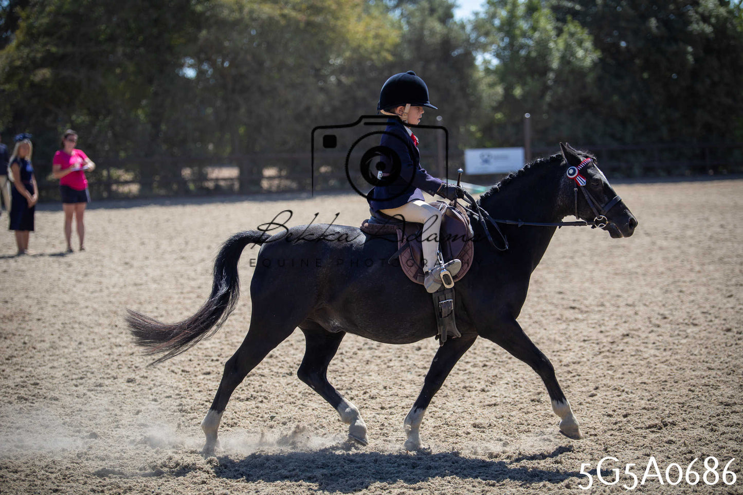 St Lawrence Charity Horse Show - Saturday pt1